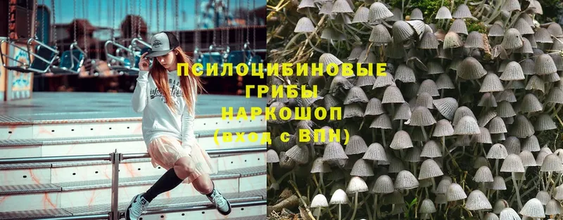 наркотики  Ирбит  Галлюциногенные грибы Cubensis 